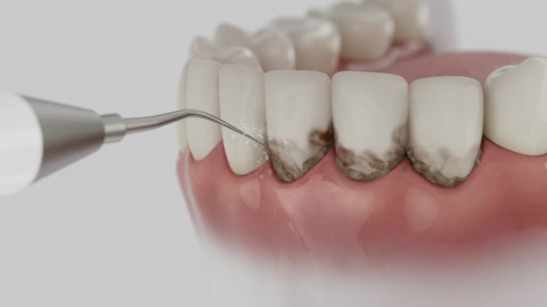 Reliable Dental contractor in North Lima, OH by Dentist Open Now